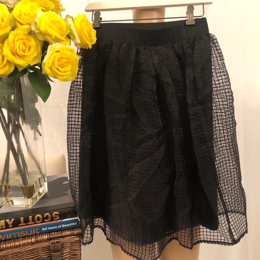 Flowy Mesh Skirt with Lining